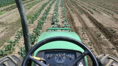 Field work