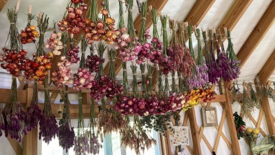 A day's harvest drying at home