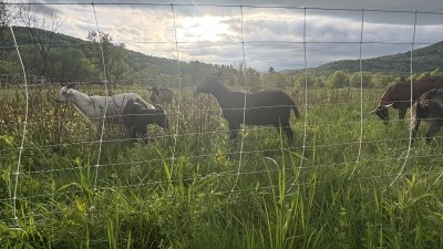 Evening checks