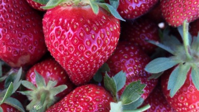 Mara Des Bois strawberries 