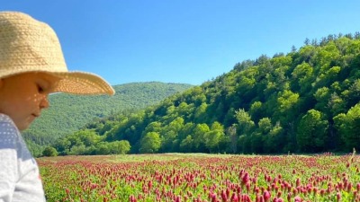 My  son inspecting the red clover we planted for nitrogen / soil fertility 