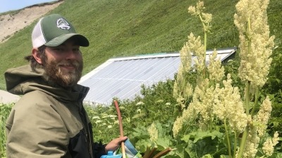 Harry harvesting chard