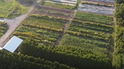 Current farm