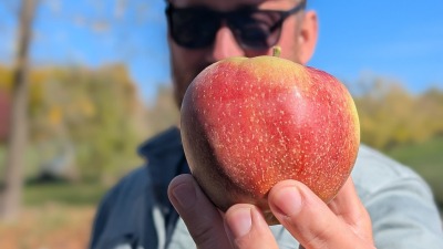 Sean & Apple