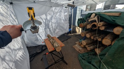 Log Inoculation Station