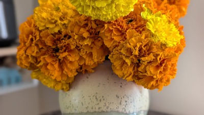 African Marigolds in wheel thrown vase