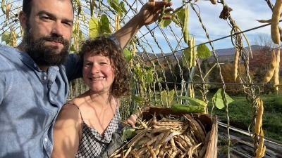 Rose & Graham harvesting Dolloff beans at the Marshfield School of Weaving