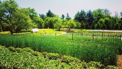 @ Valentine's Farm