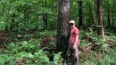 Jeremy in his family's forest, Randolph, VT