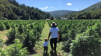 40 acres of Hemp I planted and harvested by hand in 2019 