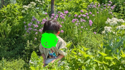 a child in the garden