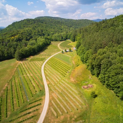 Aerial looking north