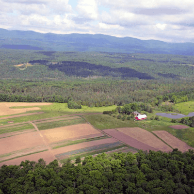 aerial view of agricultural land and a portion of forest