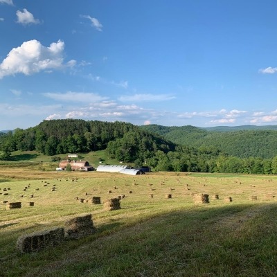 Hay fields