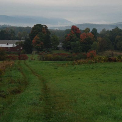 Barn Complex looking north