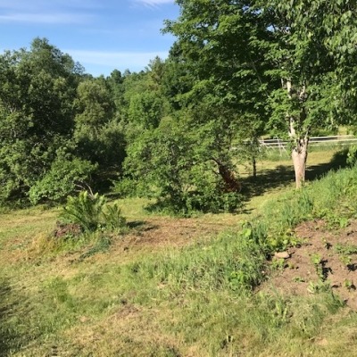 Future site of the "Giving Garden"