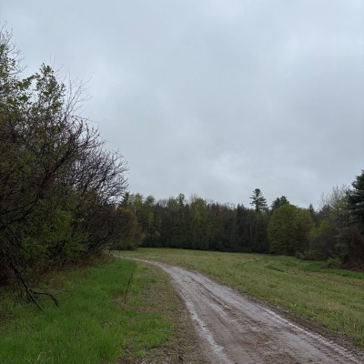 Farm road