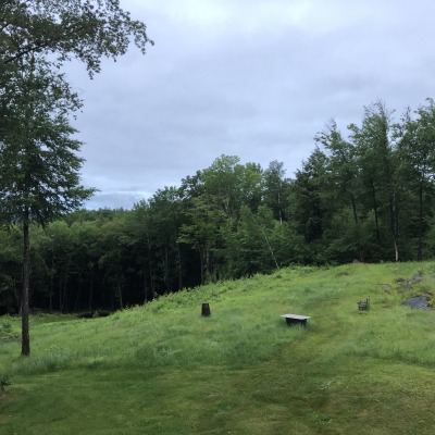 Looking down field to lower part of property