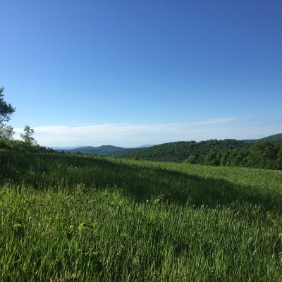 We have additional 60 acres not included in listing. Most land has slopes, views are beautiful, it does tend to be windy due to exposure