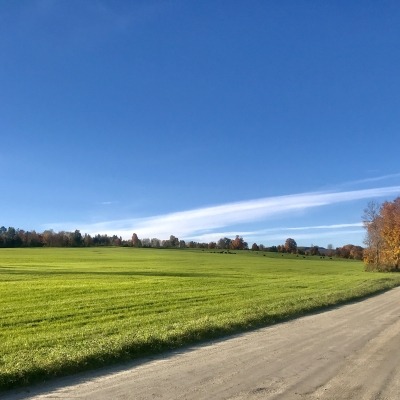 One of Badger Brook's fields