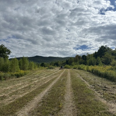 Grazing land/ orchard 