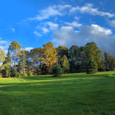 Side Pasture ~2 acres