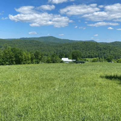 Pecor Farm Property