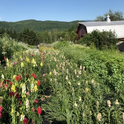 view of fields and barn