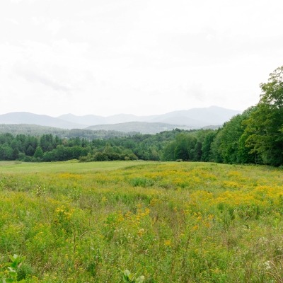 Open Pasture.