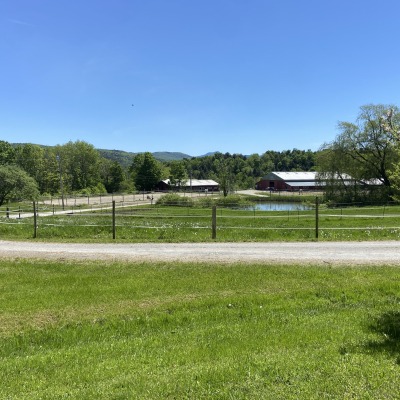 equine complex and paddocks