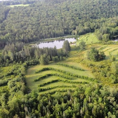 Aerial shot of fields